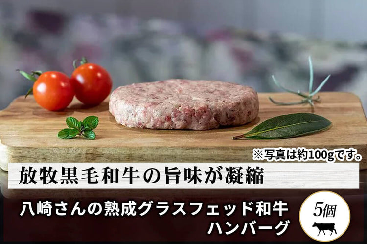 商品番号：553｜【ハンバーグ】宮崎県・八崎さんの「熟成グラスフェッド和牛　ハンバーグ」（5個）【簡易包装】の商品画像1