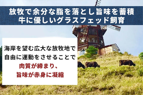 商品番号：553｜【ハンバーグ】宮崎県・八崎さんの「熟成グラスフェッド和牛　ハンバーグ」（5個）【簡易包装】の商品画像4