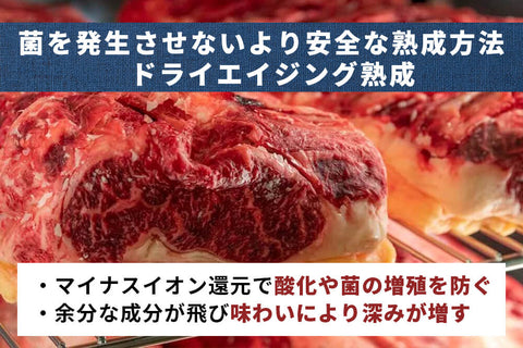 商品番号：553｜【ハンバーグ】宮崎県・八崎さんの「熟成グラスフェッド和牛　ハンバーグ」（5個）【簡易包装】の商品画像5