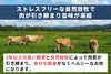 商品番号：730｜【フードロスセール】織田さんの「グラスフェッドビーフ」牛すじ肉（250g）の商品画像5