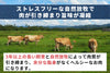 商品番号：651｜【ステーキ用】織田さんの「グラスフェッドビーフ　マルもも」スライス（200g）の商品画像5