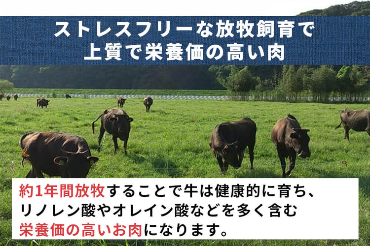 商品番号：818｜【塊肉】栃木県・瀬尾さんの「もてぎ放牧黒毛和牛　極上ランプ」ブロック（500g）の商品画像5