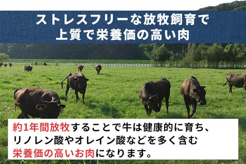 商品番号：817｜【ステーキ用】栃木県・瀬尾さんの「もてぎ放牧黒毛和牛　極上ランプ」ステーキ（400g）の商品画像5