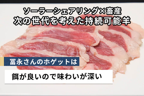 商品番号：674｜【ステーキ用】冨永さんの「国産羊肉（ホゲット）　チョップ」（3本/合計：約300g）の商品画像2