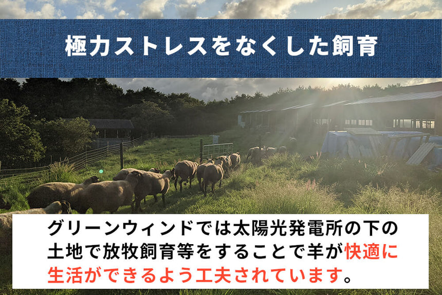 商品番号：674｜【ステーキ用】冨永さんの「国産羊肉　チョップ」（3本/合計：約300g）の商品画像4