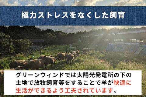 商品番号：673｜【ジンギスカン用】冨永さんの「国産羊肉（ホゲット）　肩ロース肉」スライス（100g）の商品画像3