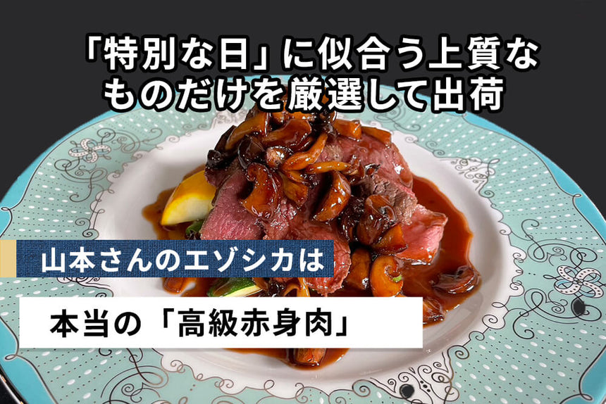 商品番号：728｜【塊肉】北海道の「美唄エゾシカ 熟成シンタマ」ブロック（500g）の商品画像3
