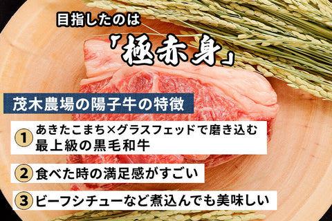 商品番号：737｜【焼肉用】秋田県・茂木農場の「陽子牛　シンタマ」スライス（300g）の商品画像2