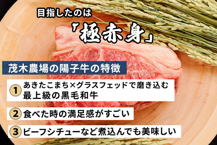商品番号：736｜【フードロスセール】秋田県・茂木農場の「陽子牛　サーロイン」ステーキ用スライス（300g）の商品画像2