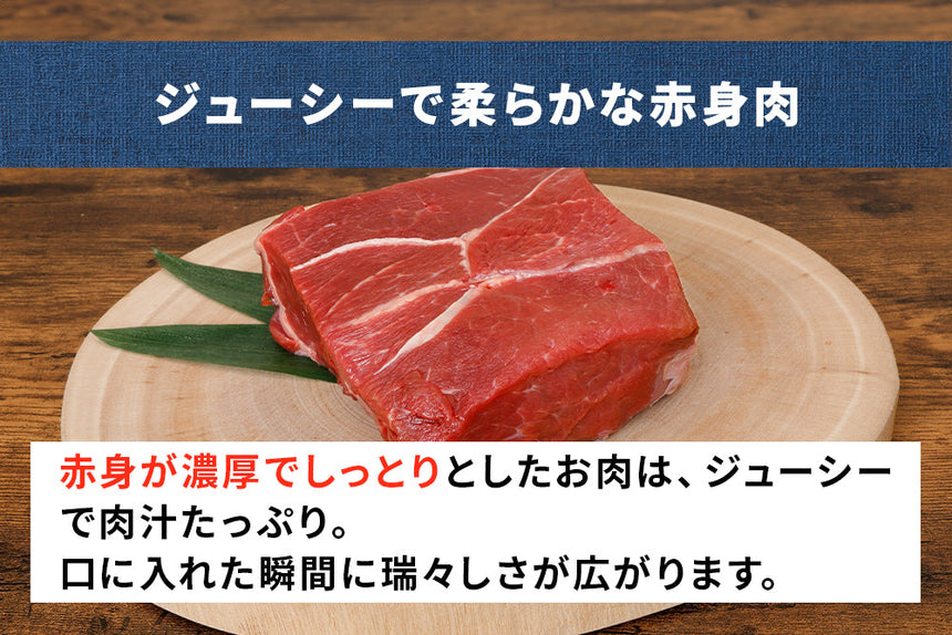 商品番号：841｜【塊肉】グラスフェッド「田中ビーフ  赤身 」ブロック（500g）の商品画像4